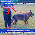 Miniatyrbild 4 av 5: Träningskoppel för Hund med Reflexmaterial, Långt Hundkoppel för Säkra Kvällspromenader, Uppgraderat Fast Fäste för Smidig Anslutning