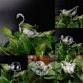 Miniatyrbild 6 av 6: 11 Typer Glas Blomvattnare Automatisk Självbevattning De - Perfekt Transparent