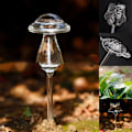 Miniatyrbild 3 av 6: 11 Typer Glas Blomvattnare Automatisk Självbevattning De - Perfekt Transparent