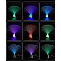 Miniatyrbilde 5 av 6: Fiberoptisk lampe med fargeskiftende LED-lys, isbre nattlys
