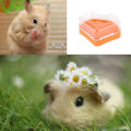 Pikkukuva 7 / 7: Hamsterin lemmikkikylpyhuone, Chinchilla-kylpyhuone, muovinen hamsteri KLB