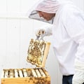 Miniatyrbild 4 av 4: Bi-dräkt, bi-jacka med hatt, professionell bi-skydd