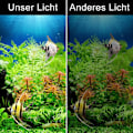 Miniatyrbillede 8 af 8: Akvarielys med klips, ultra-tynd sort KLB