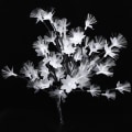 Miniatyrbillede 2 af 8: 48LED Fiberoptisk Blomstertræ Blomstring Bonsai Lys Gren KLB