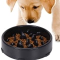 Miniatyrbild 1 av 2: Långsam utfodring hundskål, hundskål, halkfri matskål för långsammare utfodring KLB