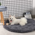 Miniatyrbillede 2 af 4: Super blød og fluffy plys kæledyr madras, hund seng, katteseng, kæledyr forsyninger, kæledyr gulvmåtte, egnet til kæledyr