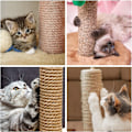 Miniatyrbild 3 av 5: Sisalrep Scratching Post DIY Gripping Post Toy Cat Climbing Frame Replacement Rope KLB