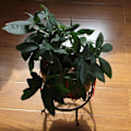 Miniatyrbilde 6 av 8: Retro Design Metall Rund Smidd Jern Blomsterkrakk Plante Stativ KLB