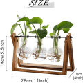 Miniatyrbillede 3 af 6: Plante med træstativ, luftplante, pære, glasvase, metal