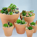 Miniatyrbillede 7 af 7: Indendørs og udendørs fehavetilbehør 6 miniaturefeer