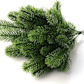 Miniatyrbillede 1 af 7: Kunstige Gran Grene Julepynt Indendørs Gran Grene Grønne Grene KLB