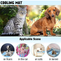 Miniatyrbillede 4 af 4: Sommer køleunderlag til hunde, katte, selvkølende, åndbart kæledyr køleunderlag, bærbart og vaskbart, køletæppe til små, mellemstore og store