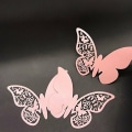 Pikkukuva 2 / 4: 3D-laserperhosseinänkoristetarra (PINK) KLB