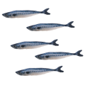 Miniatyrbilde 1 av 6: 5-delt katteleketøy simulerer interaktiv fiskform, kattelekestil5 KLB