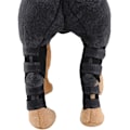 Miniatyrbillede 2 af 4: Reflekterende hundebenstøtte (sort) med sikkerhedsreflekterende strimmel til for- og bagbenstøtte til hund. Animal Paw Compression Pack til skader Art