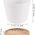 Miniatyrbillede 5 af 8: 6,5 CM sukkulente potter kaktus plante potter mini blomsterpotter base