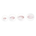 Miniatyrbilde 1 av 5: Fondantkake Cookie Plunger Sugarcraft Blomsterblad Ellipse THM003 KLB