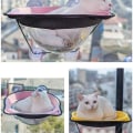 Miniatyrbild 4 av 5: Katt hängmatta installerad på fönstret, kattsäng sugkopp katt hängmatta KLB