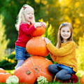 Miniatyrbild 5 av 5: Mini Top Hat Hårklämmor Halloween Häxhatt Hårklämmor Stil 3