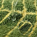Miniatyrbillede 3 af 5: Grøn Blad Blød Anti-Skrid Sikkerhedsbademåtte Bademåtte Brusemåtte Gulvmåtte Tæppe til Badeværelse
