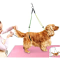 Miniatyrbillede 3 af 4: Generisk kæledyrsfrisørbord reb kæledyrsfrisør snor nakke og haseholder hundefrisør spænde(gul+rød)