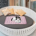 Pikkukuva 4 / 4: KLB-jäähdytysalusta lemmikkieläimille
