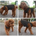 Miniatyrbilde 2 av 4: Bomullsklær til hund, ensfarget hund T-skjorte klær, myk pustende bomullsskjorte egnet for katter og valper (2 stykker) (medium, svart + grå)