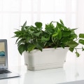 Miniatyrbild 3 av 5: Rektangulär blomkruka i plast, modern dekorativ blomkruka