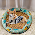 Miniatyrbillede 4 af 5: Sommermåtte Kennel Kat Rede Koldt Pude Kæledyr M(17.72) KLB