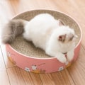 Miniatyrbild 4 av 5: Kattklösbräda, kattskrapa, interaktiv kattleksak, katter KLB