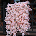 Miniatyrbillede 7 af 8: Kunstig kirsebærblomst guirlande lyserød 1,8 m, til bryllup fest, sæt af 2