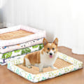 Miniatyrbillede 5 af 7: Hundeseng til kassepude, kæledyrssenge med rattan L(23,62x17,71x1,1) KLB