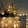 Miniatyrbillede 8 af 8: LED-stjernelys 30 stk. batteridrevet til fest, have, KLB