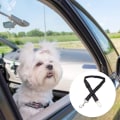 Miniatyrbillede 5 af 5: KLB Klassisk hundebilssele til hunde og katte, sort