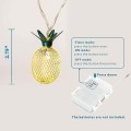 Miniatyrbild 2 av 5: Färgglada ananas ljusslingor - 15ft 30 LED, batteridriven KLB