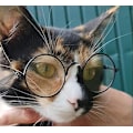 Pikkukuva 2 / 5: Lemmikkikoiran ja -kissan aurinkolasit, klassiset retro-pyöreät metalliset aurinkolasit, prinssi, prinsessa, pentu, Katie, valokuvausrekvisiitta, lelut