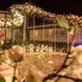 Pikkukuva 4 / 6: LED-valosateenkaari 6x3m, 600 LED-tähtivalosateenkaari kaukosäätimellä ja ajastimella 8