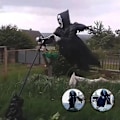 Pikkukuva 1 / 3: 2023-Halloween Ghostface Scream Scarecrow Puutarhakoriste