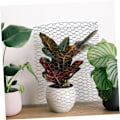Miniatyrbilde 5 av 5: Metallnett for gjerde sekskantet netting: 16x25mm gjerde for dyr og planter Galvanisert -0,1mx6m KLB