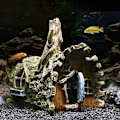 Miniatyrbild 3 av 5: Akvarium prydnad Akvarium prydnader Harts grotta Lämplig för akvarium dekoration tillbehör(Tree House)-
