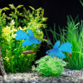 Miniatyrbilde 4 av 8: Kunstig fisk silikon fisk silikon gullfisk Betta Blå KLB