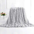 Miniatyrbillede 1 af 5: 160 x 200 cm super blød dobbeltsidet fleece plys tæppe