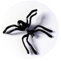 Miniatyrbillede 4 af 5: Halloween-pynt, dyreørestuds, edderkoppeørering, unisex-ørering