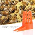 Honey Bee Comb Push-in Queen Cell Protector med tips för biodling (50 st)