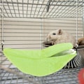 Miniatyrbilde 3 av 4: Banan Hamster Seng Rom Hengekøye Liten Dyr Varm Seng Rom Bur KLB