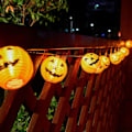 Miniatyrbillede 2 af 5: Qedertek Halloween dekoration - græskar fe lys, batteridrevet KLB