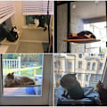 Miniatyrbillede 6 af 7: Kattevindue Sæde Vindue Lounger Katte Hængekøje, Solbadning Katteseng KLB