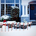 Miniatyrbilde 4 av 5: Festive LED solcelle-fe lys - 8 stk julestjernelys KLB