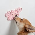 Miniatyrbillede 2 af 4: Langsomt fodringspude, skridsikkert design hund og kat slikkepude KLB