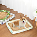 Miniatyrbillede 6 af 7: Hundeseng til kassepude, kæledyrssenge med rattan L(23,62x17,71x1,1) KLB